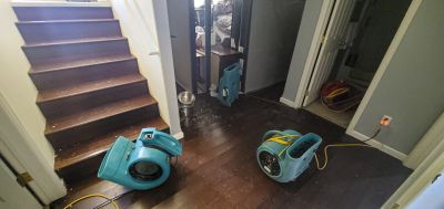 Squeaky Floor Repair